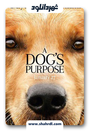 دانلود فیلم A Dog’s Purpose 2017