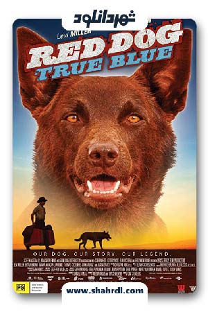 دانلود فیلم Red Dog True Blue 2016