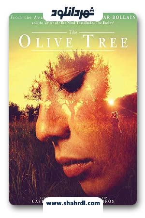دانلود فیلم The Olive Tree 2016