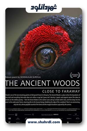 دانلود فیلم The Ancient Woods 2017 با زیرنویس فارسی
