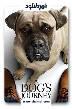 دانلود فیلم A Dogs Journey 2019 | دانلود فیلم سفر یک سگ