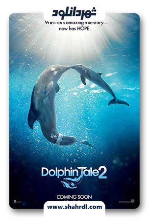 دانلود فیلم Dolphin Tale 2 2014 | داستان دلفین 2