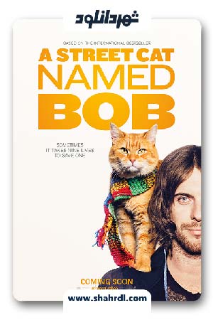 دانلود فیلم A Street Cat Named Bob 2016